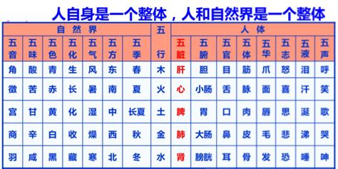 五臟對應表|五行、五臟、五官、五體、五志對應表